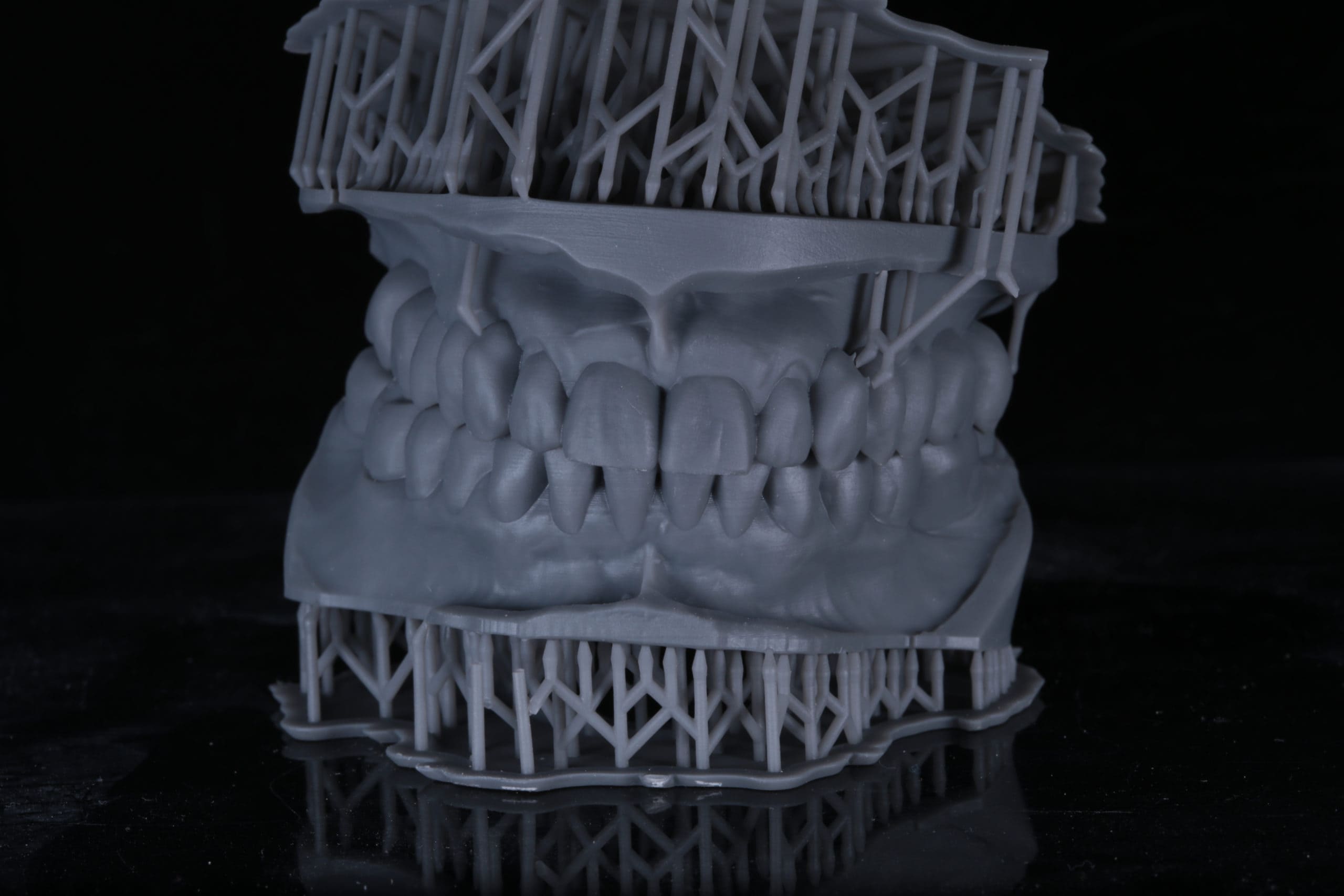 Модель челюсти, напечатанная на 3D принтере